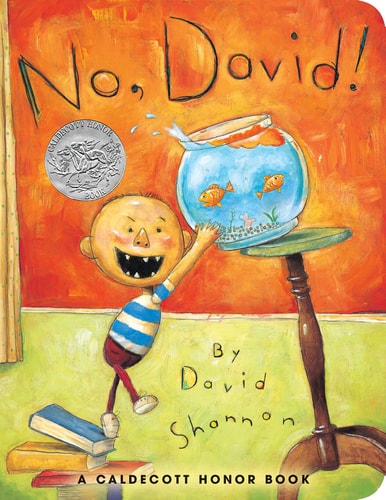 No David BD