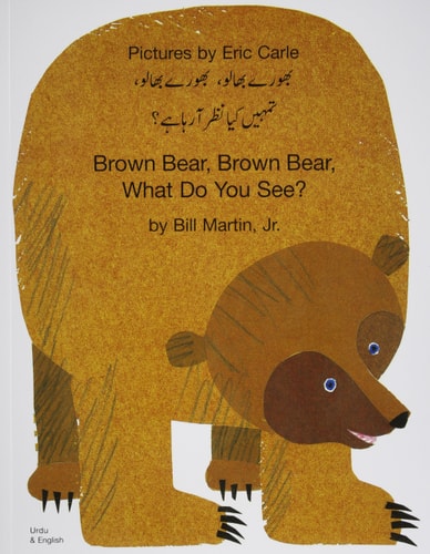 Brown Bear PB-Urdu