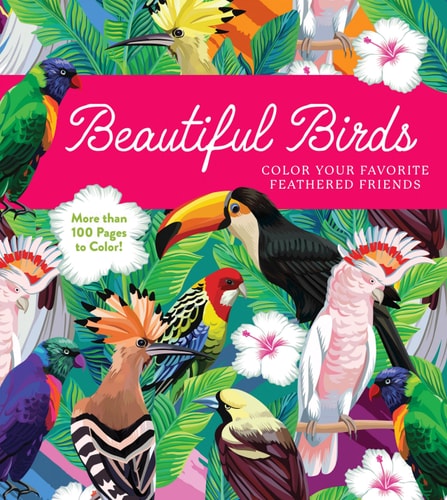 Beautiful Birds Coloring Book