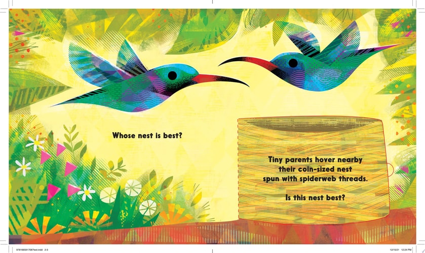 Whose Nest is Best? Lift-the-Flap