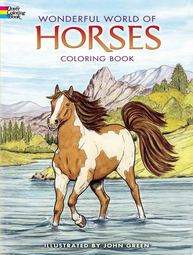 Horses Coloring Book