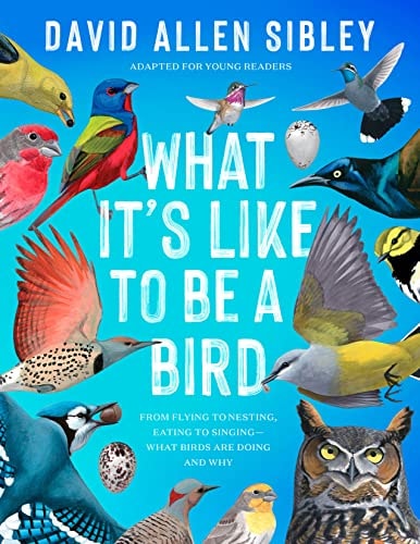 What It's Like to Be a Bird (Young Readers Edition)