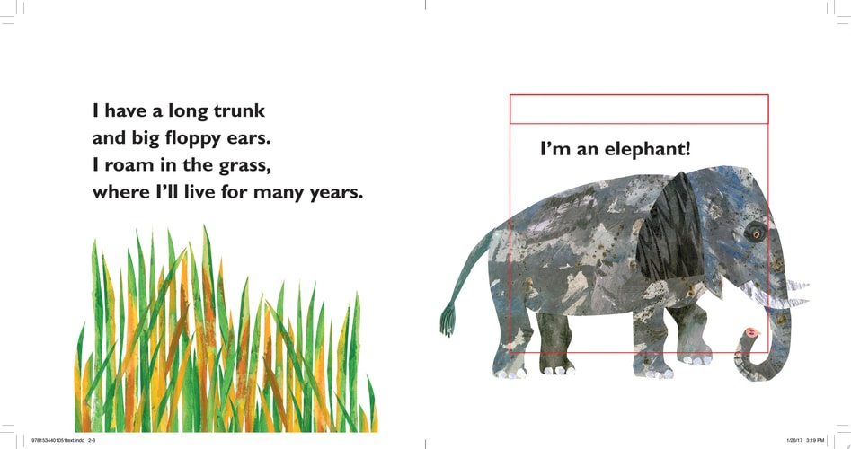 My First Peek-a-Book Animals