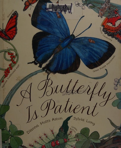 Butterfly is Patient