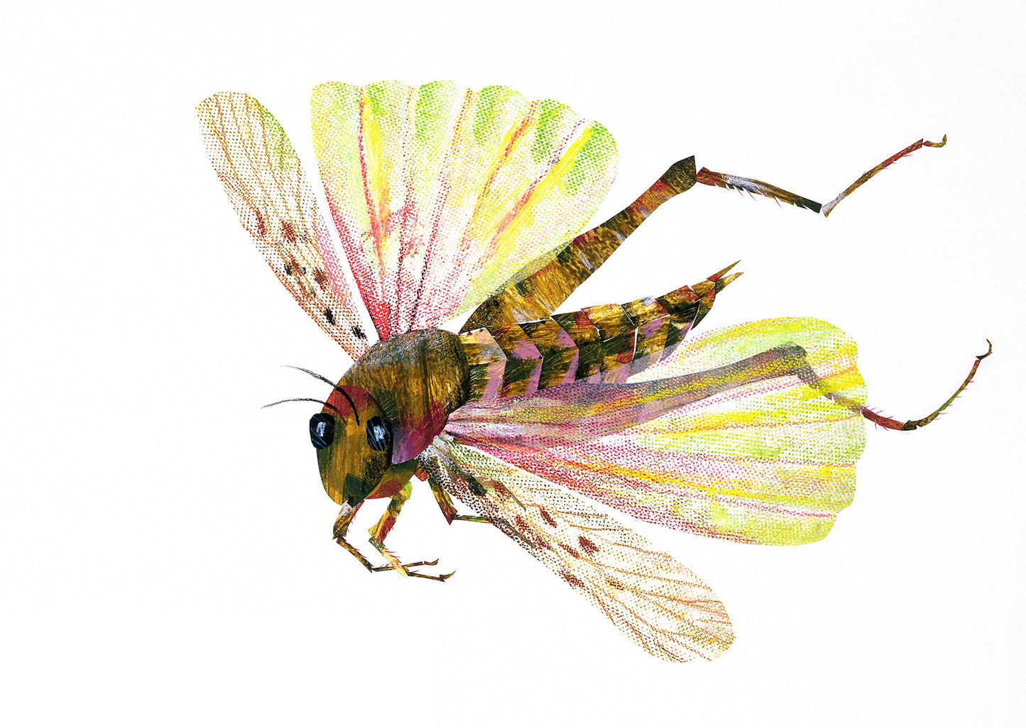 Locust Autographed Limited Edition Print