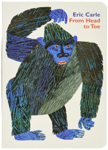 From Head to Toe BD