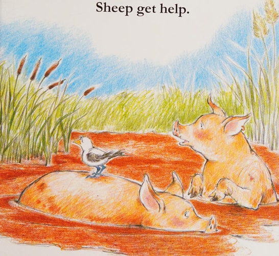 Sheep in a Jeep BD