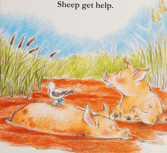 Sheep in a Jeep BD