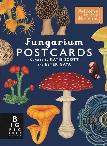 Fungarium Postcard Set