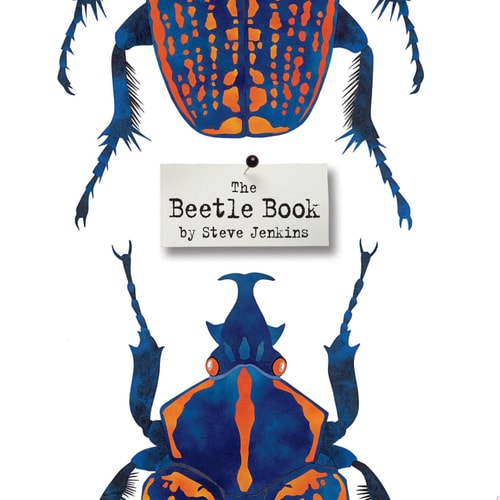 Beetle Book