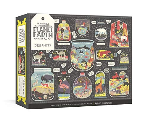 Puzzle-Wondrous Workings of Planet Earth 500 pc