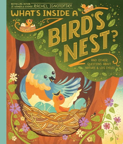 What's Inside a Bird's Nest