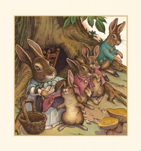 Peter Rabbit Touch & Feel BD