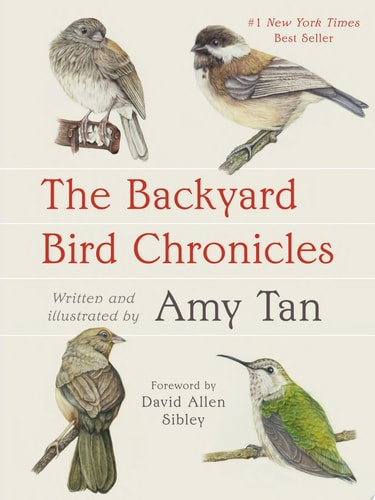 Backyard Bird Chronicles