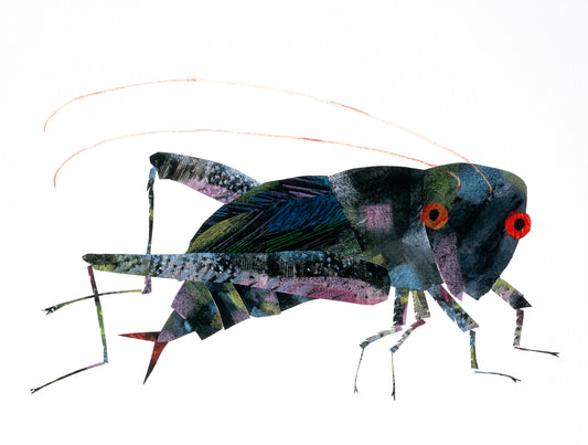 Cricket Autographed Limited Edition Print