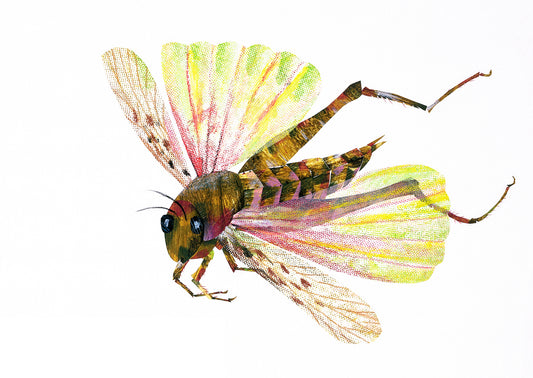 Locust Autographed Limited Edition Print